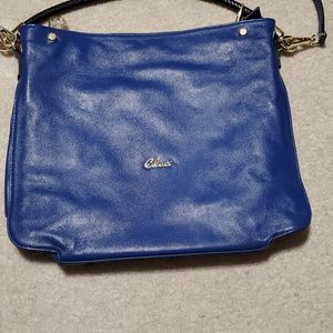 Blue purse